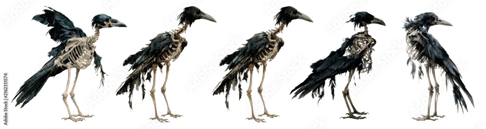 Naklejka premium Skeleton crows standing in a row, featuring exposed bones and sparse dark feathers, creating a spooky atmosphere for halloween and horror concepts