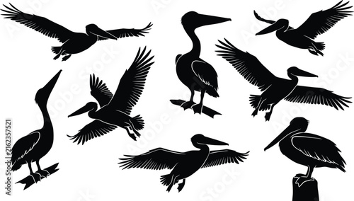 Картината върху платно Pelican silhouette vector set of flying birds