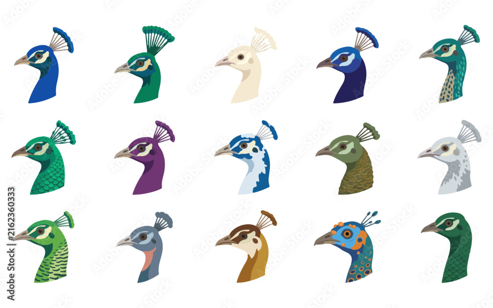Fototapeta premium Elegant Peacock Logo Vector Collection with Colorful Decorative Feather Designs