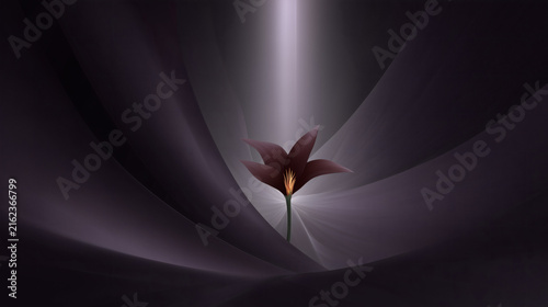 Fondo flores hechos con fractales