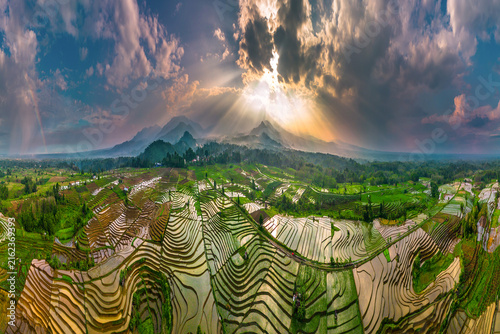Aerial view of lush green rice terraces reflecting the sky in th