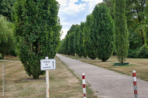 Fußweg zur Trauerhalle zwischen Säulen-Hainbuchen  auf dem Hauptfriedhof Mülheim Ruhr
