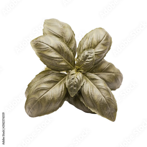 Fresh Basil Bunch Isolated