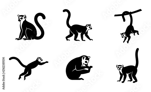 Photography Vector Silhouette Icons of Lemurs, Primate Poses, Wildlife Graphics, Jungle Anim