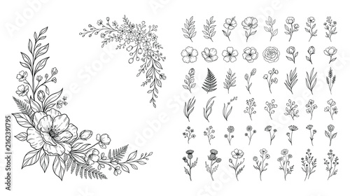 Hand drawn botanical floral sketches and wildflower wreath bundle.