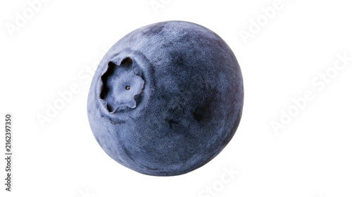 Obraz na plátne Single ripe dark blue blueberry with star-shaped calyx, isolated on transparent