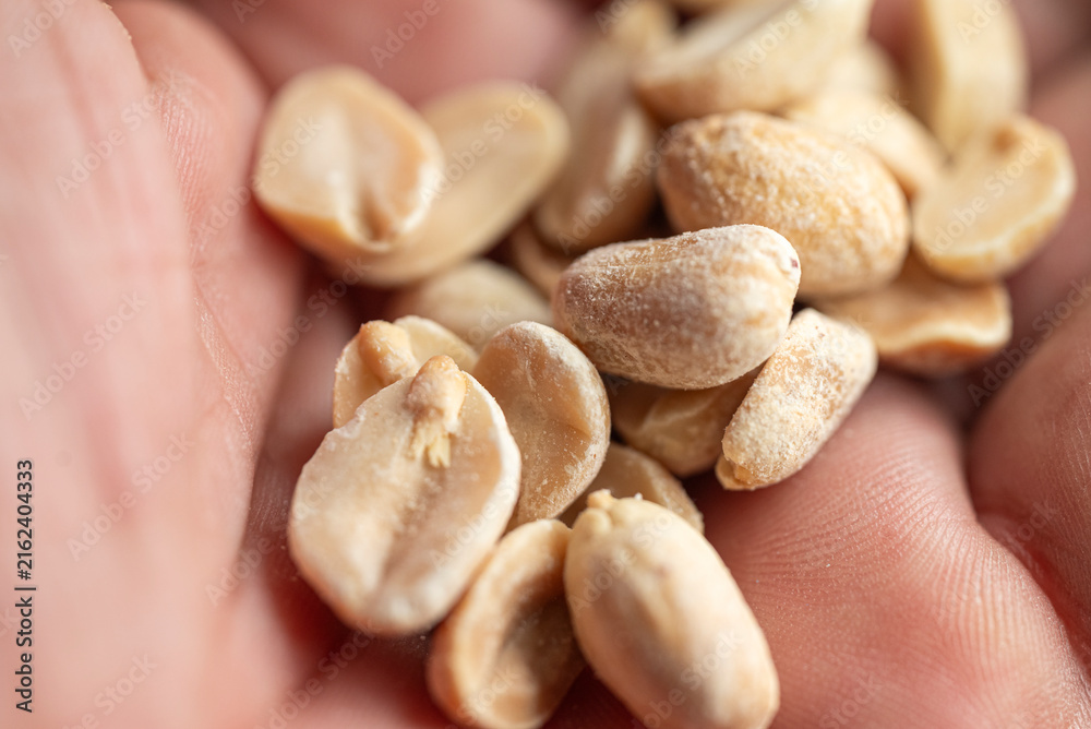 Obraz premium Close up of roasted salted peanuts held in a human hand The Concept of healthy snacking