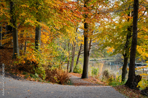 Scenic autumn landscape in Skåne, Sweden, surrounded by colorful trees and vibrant seasonal foliage. Warm golden and orange tones create a peaceful natural atmosphere