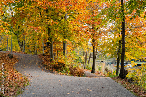 Scenic autumn landscape in Skåne, Sweden, surrounded by colorful trees and vibrant seasonal foliage. Warm golden and orange tones create a peaceful natural atmosphere