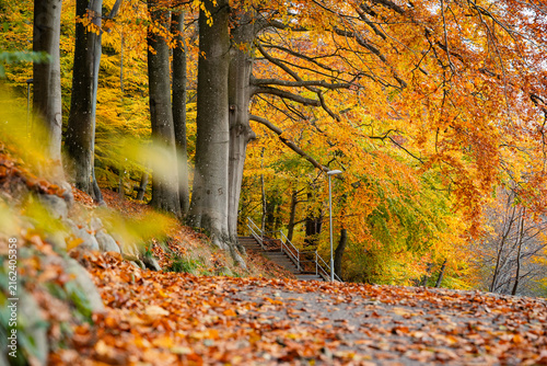 Scenic autumn landscape in Skåne, Sweden, surrounded by colorful trees and vibrant seasonal foliage. Warm golden and orange tones create a peaceful natural atmosphere