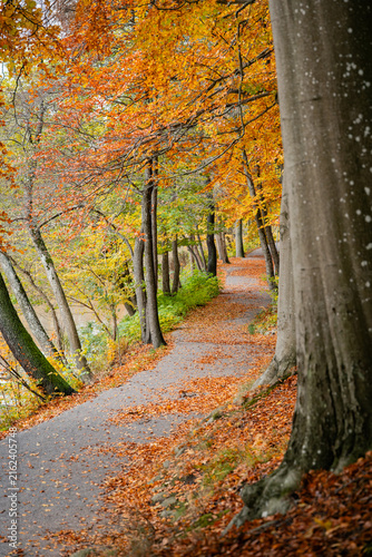 Scenic autumn landscape in Skåne, Sweden, surrounded by colorful trees and vibrant seasonal foliage. Warm golden and orange tones create a peaceful natural atmosphere