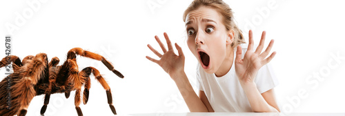 Scared woman surprised by spider with orange body isolated on transparent background png element