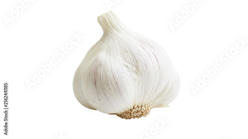 Single whole garlic bulb with papery white skin, isolated on transparent background