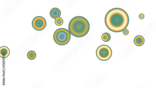 Abstract Floating Concentric Circles on a Clean White Background