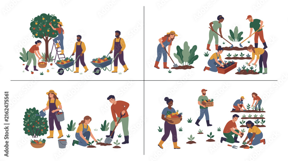 Fototapeta premium Agricultural workers harvesting crops on farm for food production.
