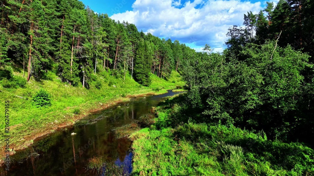 Naklejka premium Lush green landscape with riverbank reflecting the blue sky and vibrant trees in summer