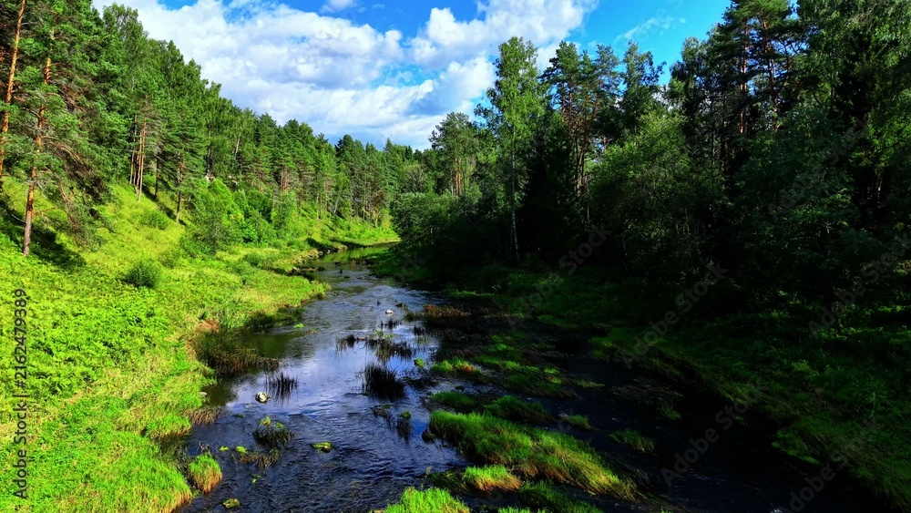 Fototapeta premium Clear flowing river surrounded by lush green trees and vibrant blue sky in summer scenery