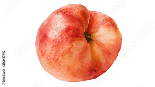 Minimalist Watercolour Peach Fruit Illustration Isolated on Transparent Background