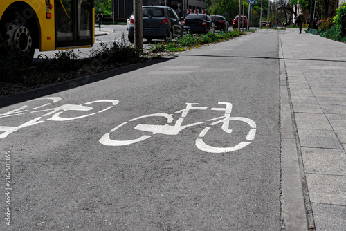 Urban Bike Lane with Painted Direction Arrows