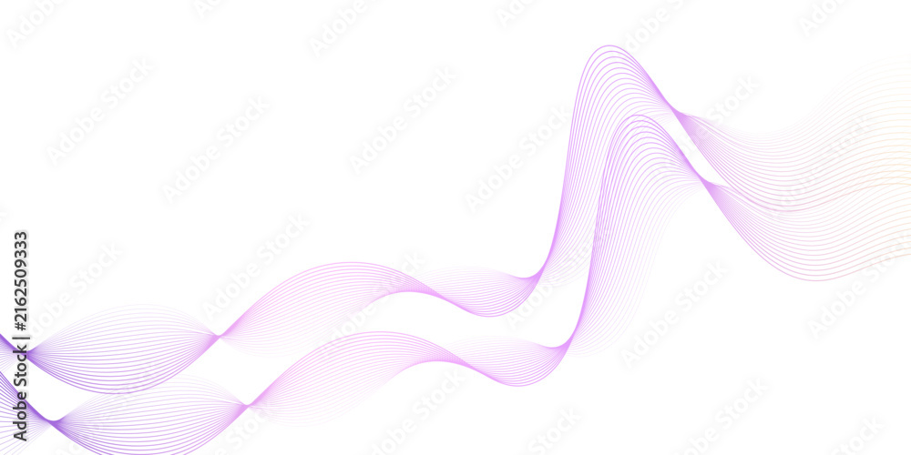 Fototapeta premium Abstract Purple Blue Wave Line Pattern Flowing Curves on White