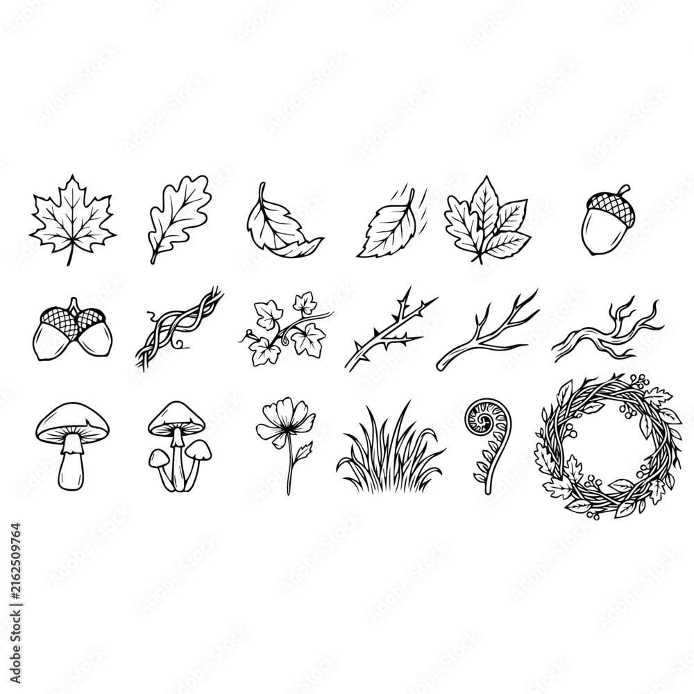 Fototapeta premium Autumn Leaves Mushrooms Branches and Botanical Line Art Vector Icon Set