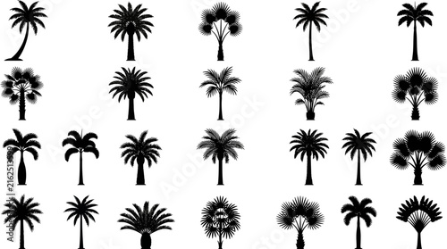 Black and White Palm Tree Icons Set