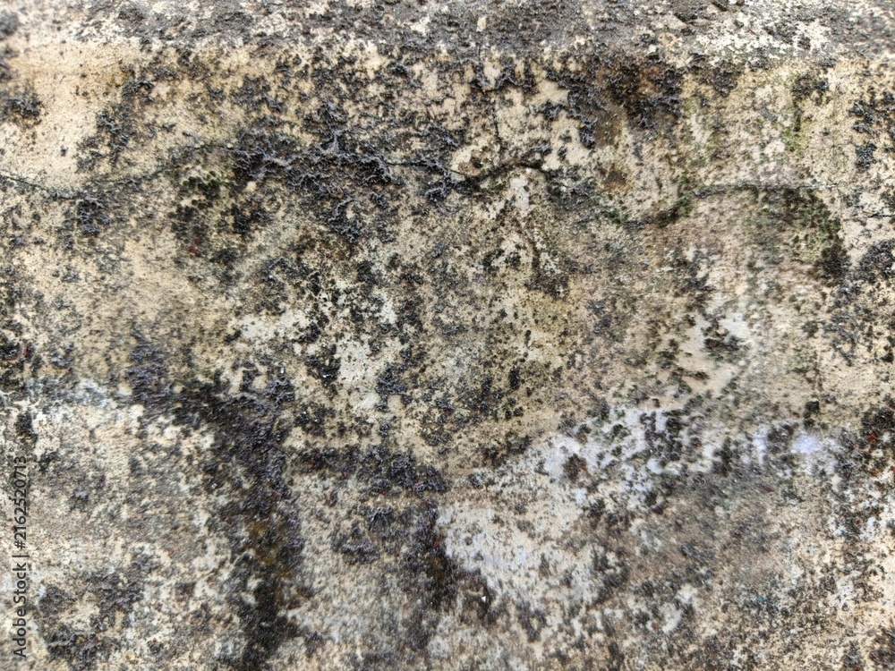 Fototapeta premium texture of stone