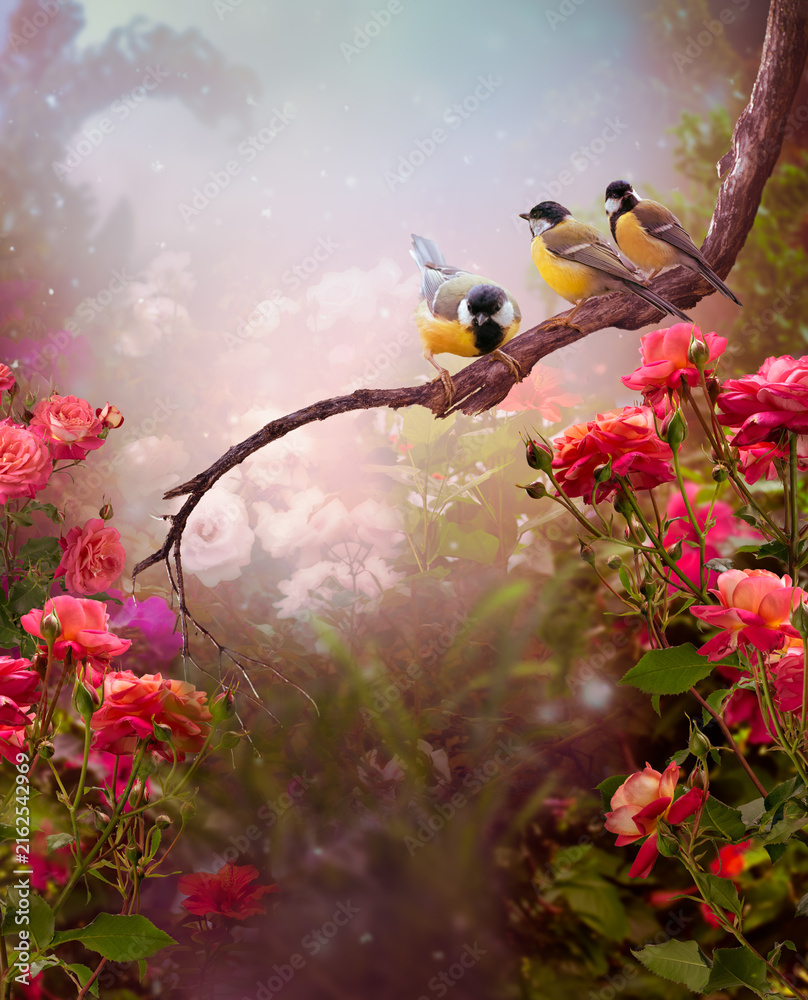 Naklejka premium Tit birds sitting on tree branch and rose flower blooming in fantasy whimsical garden, mysterious fairy tale dreamy early morning background with flock of three cute songbirds perched on twig.