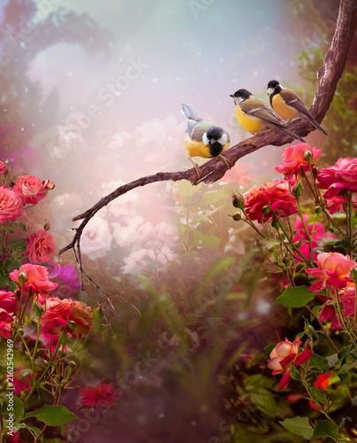 Tit birds sitting on tree branch and rose flower blooming in fantasy whimsical garden, mysterious fairy tale dreamy early morning background with flock of three cute songbirds perched on twig.