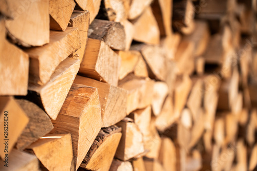 View of a stack of chopped firewood logs with visible wood grain and texture in Riga, Latvia.