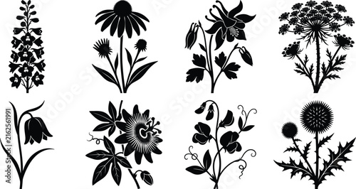 Wildflower Botanical Silhouette Collection with Blooming Garden Flowers and Floral Plant Vector Set