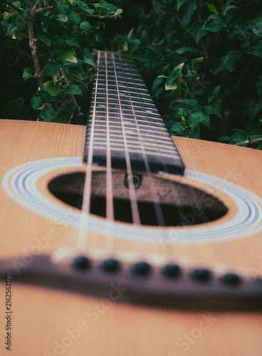 Foto Close-up of an acoustic guitar nestled amongst lush green foliage in India, showcasing detailed fretboard and soundhole