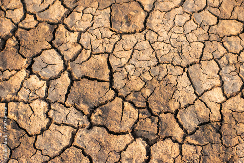 Obraz na plátně Close-up of severely cracked dry earth in India, showcasing a textured pattern of parched soil, signifying drought and environmental impact