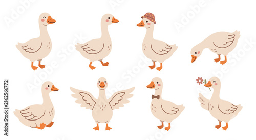 Cute cartoon goose set with different poses and accessories in hand drawn style Vector