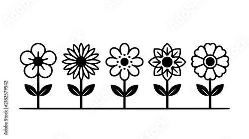 Flowers, Stylized Line Art Illustration of Blooming Flowers in a Row. Botanical Design, Floral Pattern