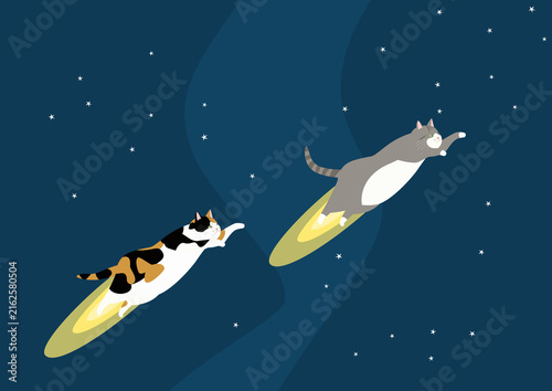 猫ロケット夜空飛ぶ　三毛猫とグレー猫