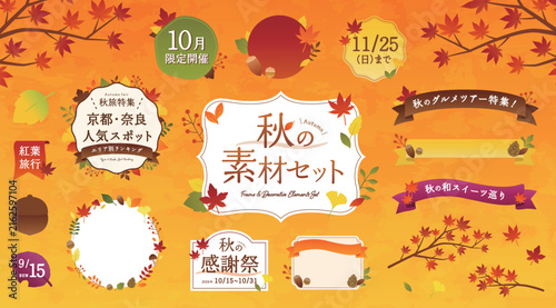 秋のフレーム・素材のイラストセット　あしらい　リボン　紅葉　モミジ　飾り　デザイン　背景　イチョウ