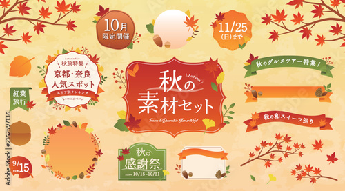 秋のフレーム・素材のイラストセット　あしらい　リボン　紅葉　モミジ　飾り　デザイン　背景　イチョウ