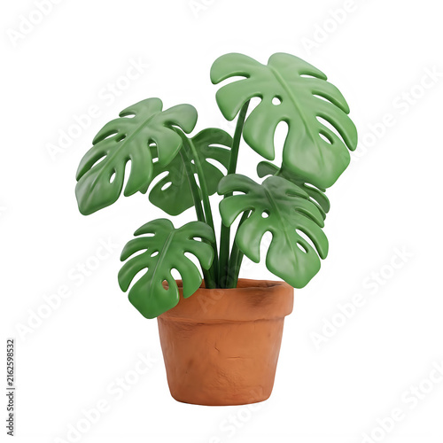 Small monstera houseplant in a clay pot isolated on transparent background