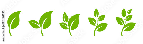 Green Leaf icon Collection.  Minimal Green Leaves Vector on White background. tree leaf symbol 