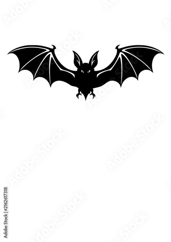 bat and bats