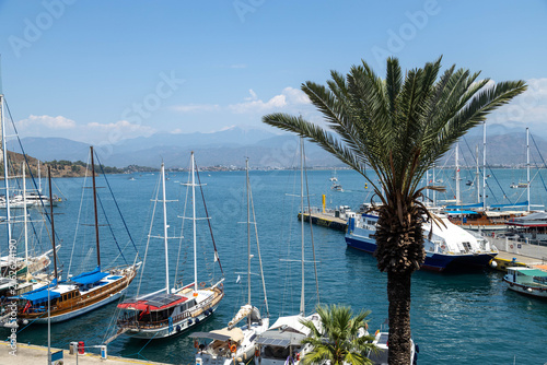 Scenic view of the marina filled with yachts and boats, framed by a palm tree and mountains under a bright blue sky in Fethiye. Mediterranean region.