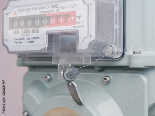 Bild auf Leinwand ​Security wire seal on gas meter, tamper proof lead seal for utility measurement