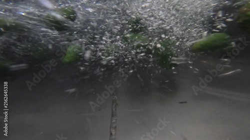 Underwater view as avocados in water flume bash and pummel camera