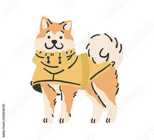 Shiba Inu dog in yellow raincoat