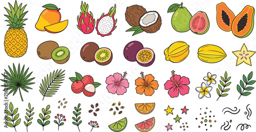 Tropical fruit and plant illustration set with pineapple, mango, dragon fruit, and leavesTropical fruit and plant illustration set with pineapple, mango, dragon fruit, and leaves