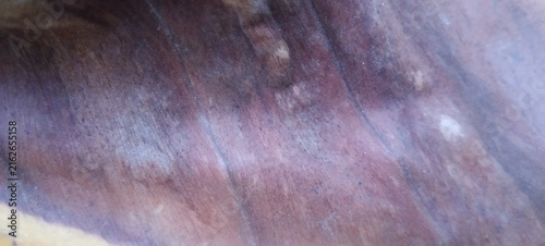 Photography natural purple brown leaf grain with flowing lines, subtle knots, weathered deta