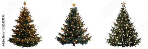 Set of Elegant evergreen Christmas tree with abundant golden decorations and sparkling warm white lights on transparent png background. Ai generated