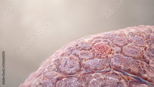 Microscopic glandular tissue with clustered lobules, human anatomy concept for healthcare research with copy space