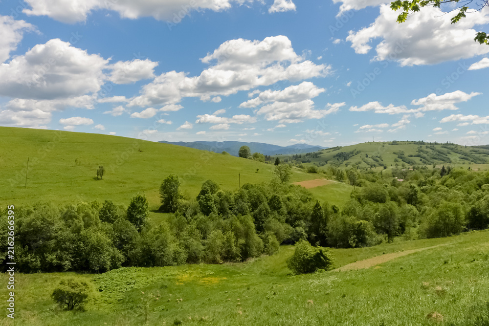 Fototapeta premium Borzhava Valley in the Carpathian Mountains, Summer Landscape